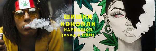 2c-b Горняк