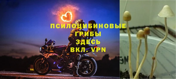 2c-b Горняк