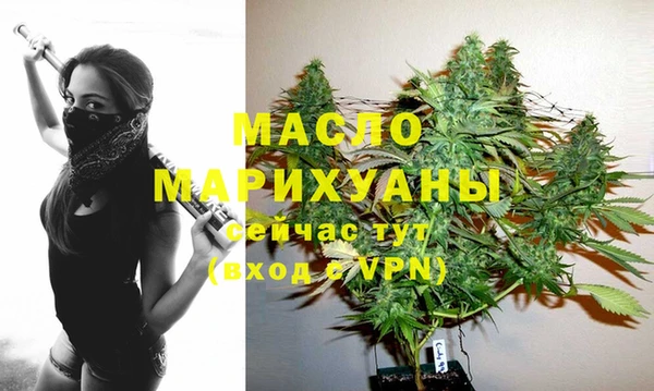 2c-b Горняк